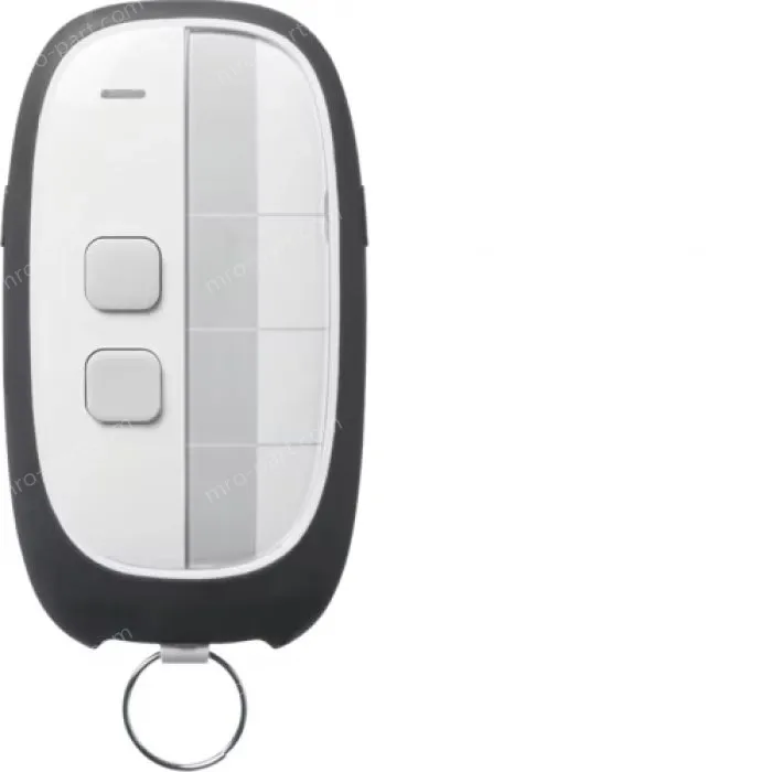 2-channel remote control