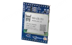 Pin Cat-1 module