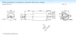 Planetary gear motor