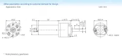 Planetary gear motor