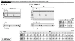 Dual Rod Cylinder CXS Series CXSM20-100