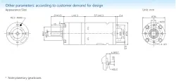 Planetary gear motor